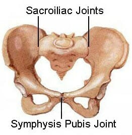 Burnaby Physio Pelvic Pain