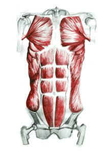 Burnaby Physio